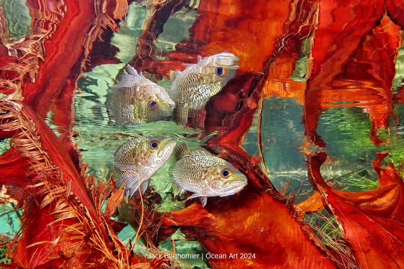 Love Story in the River